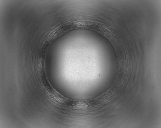 X0000056380702200509091715