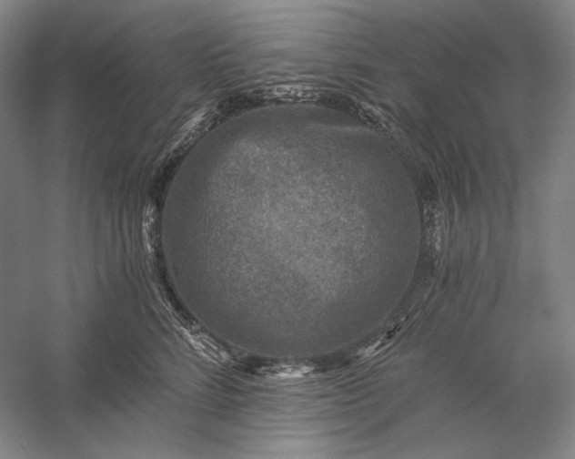 X0000056380712200509091715