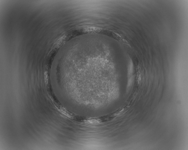 X0000056380716200509091715