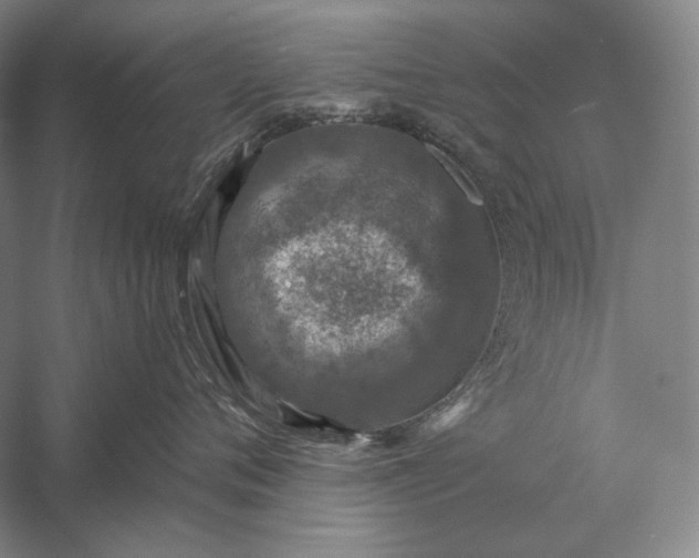 X0000056380720200509091715