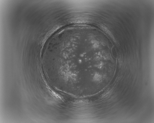 X0000056380721200509091714