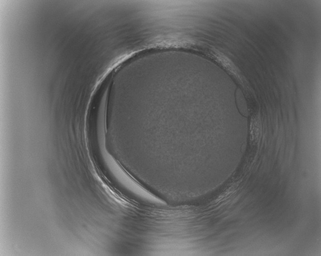 X0000056380722200509091714