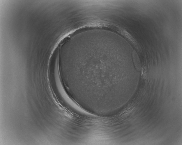 X0000056380724200509091714