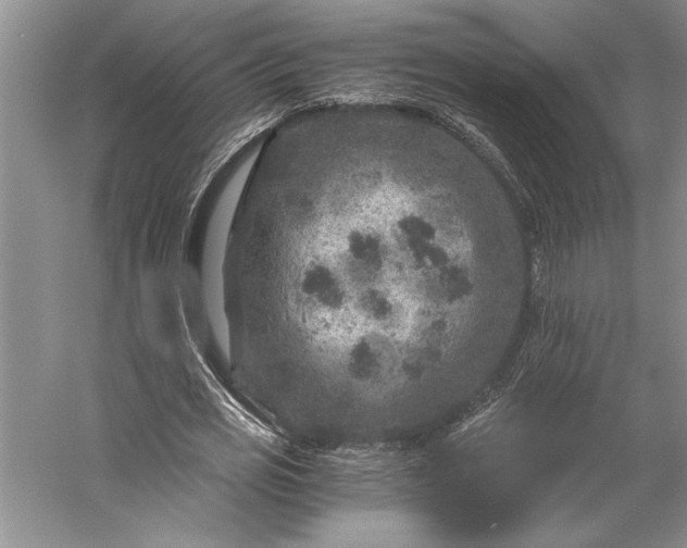 X0000056380725200509091714