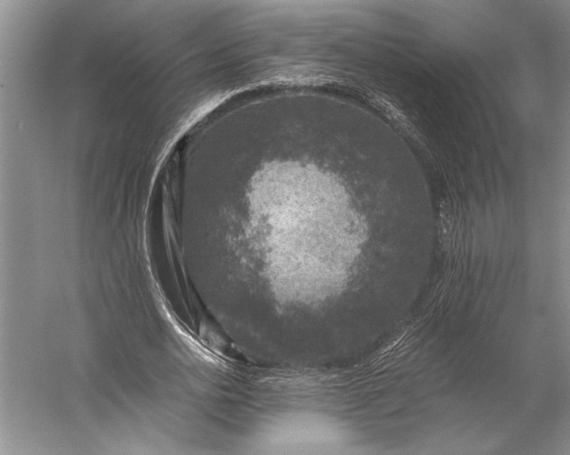 X0000056380726200509091714