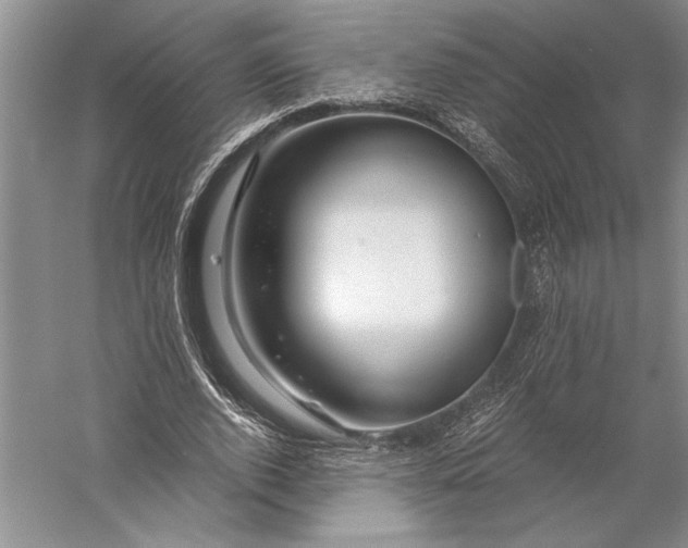 X0000056380728200509091714