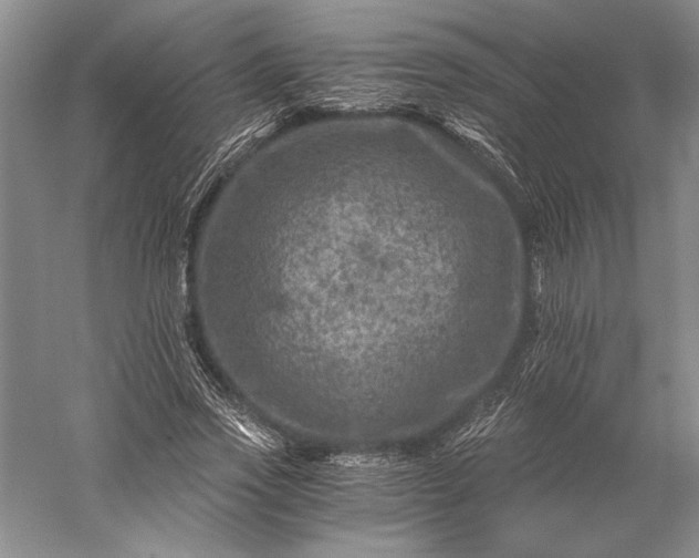 X0000056380733200509091714