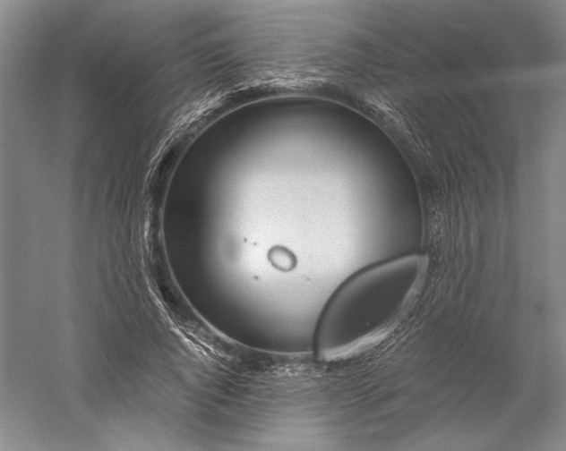 X0000056380736200509091714