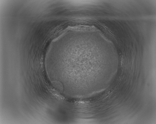 X0000056380737200509091714