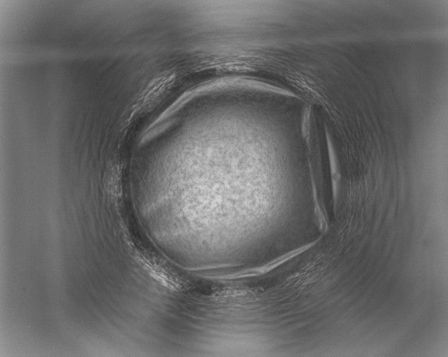 X0000056380738200509091714