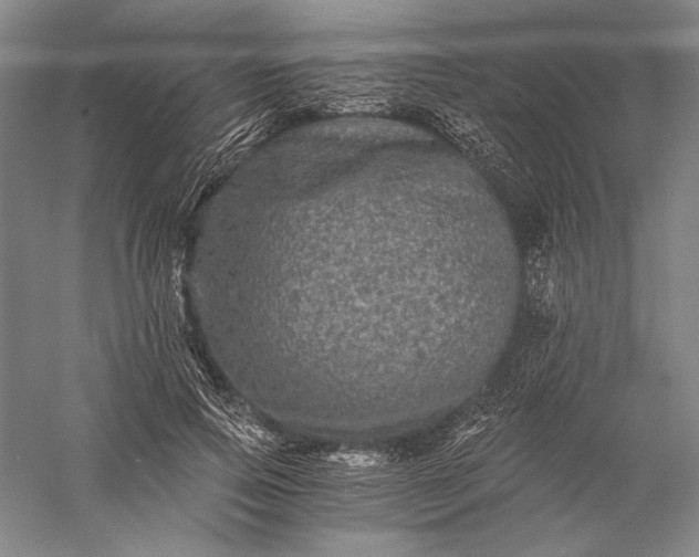 X0000056380741200509091714