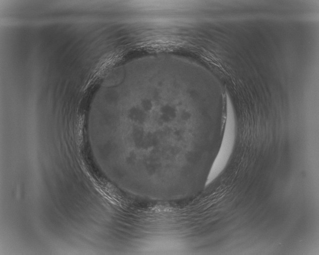 X0000056380742200509091714