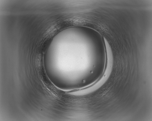 X0000056380744200509091714