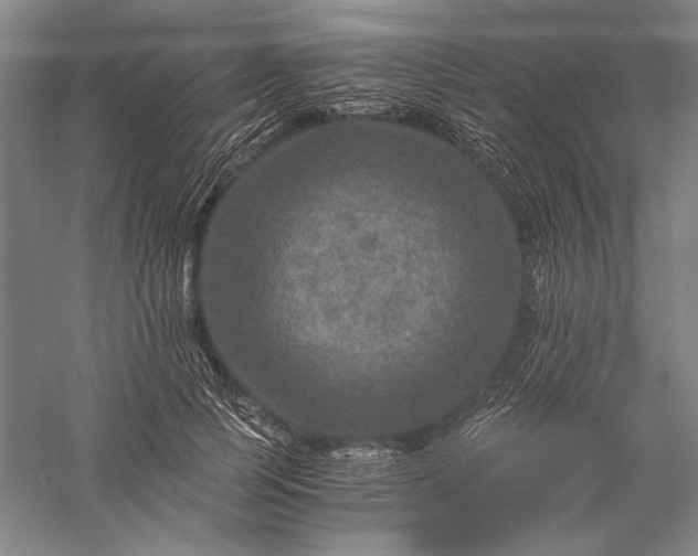 X0000056380745200509091714