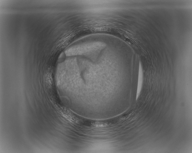 X0000056380746200509091714