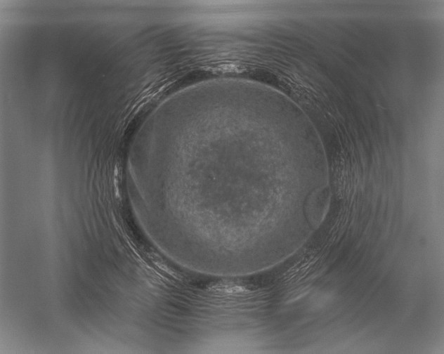 X0000056380747200509091714