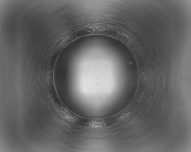 X0000056380756200509091715