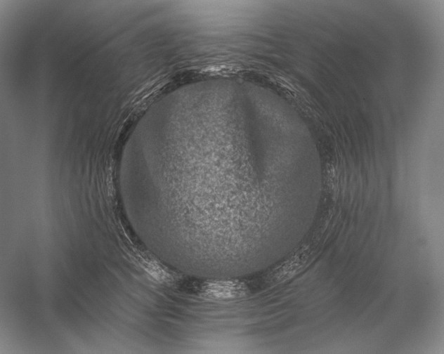 X0000056380757200509091715