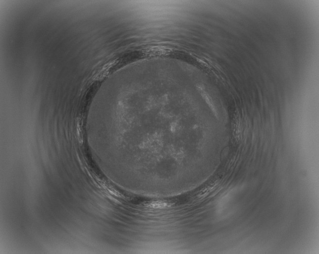 X0000056380759200509091715