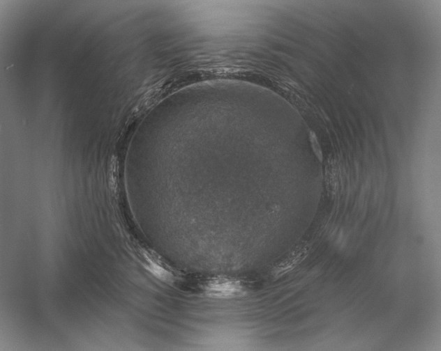 X0000056380760200509091715