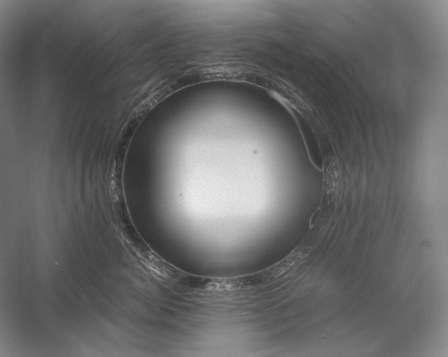 X0000056380764200509091715