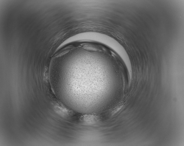 X0000056380766200509091715