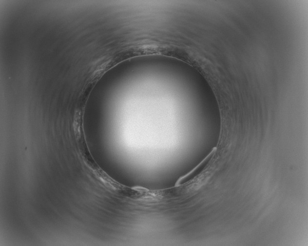 X0000056380768200509091715