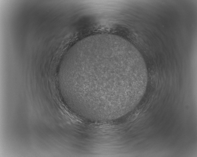 X0000056380769200509091714