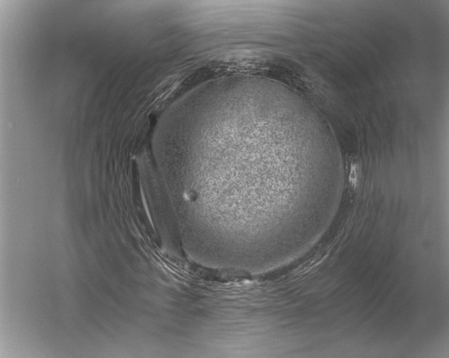 X0000056380771200509091714