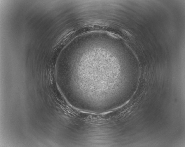 X0000056380774200509091714