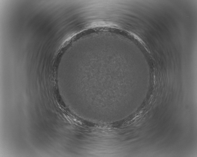 X0000056380775200509091714