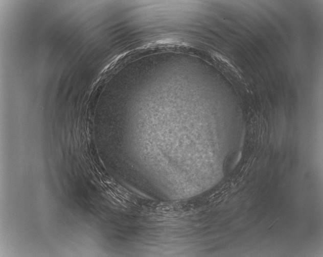 X0000056380776200509091714