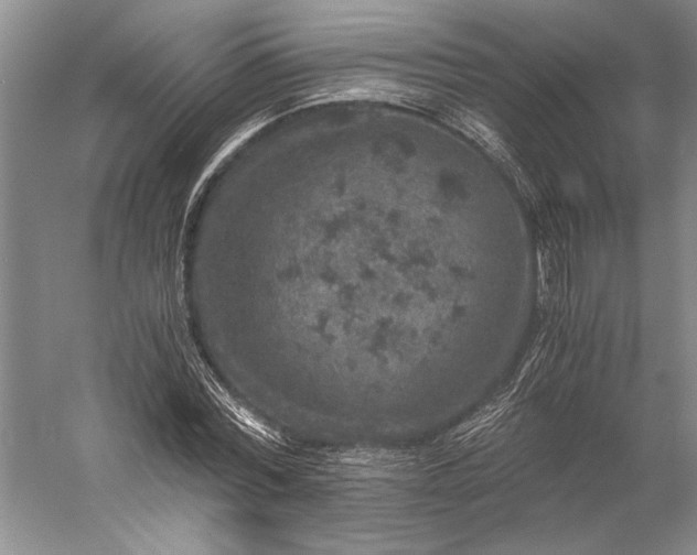 X0000056380780200509091714