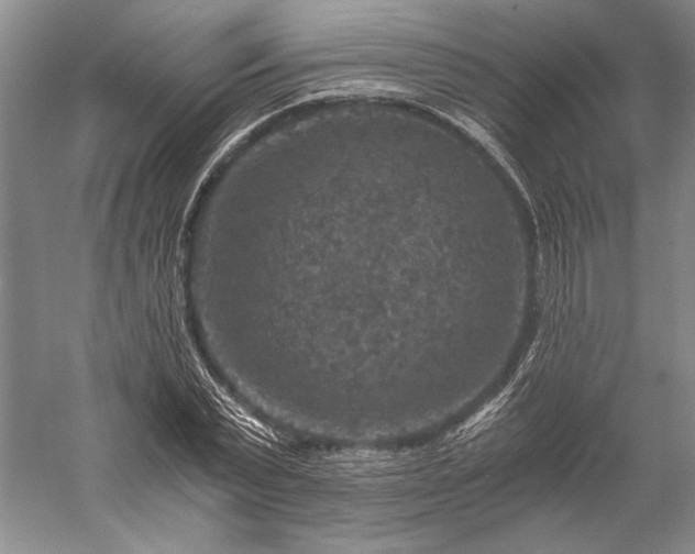 X0000056380783200509091714