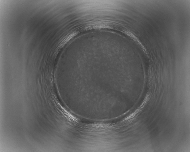 X0000056380785200509091714