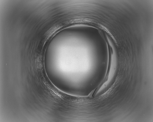 X0000056380786200509091714