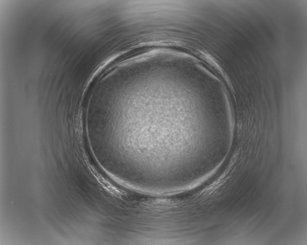 X0000056380787200509091714