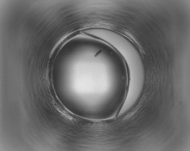 X0000056380788200509091714