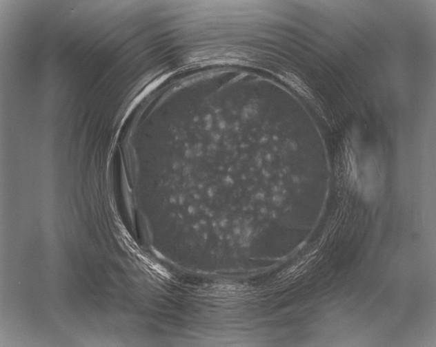 X0000056380790200509091714