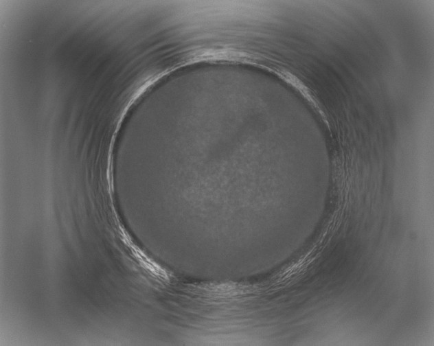 X0000056380791200509091714