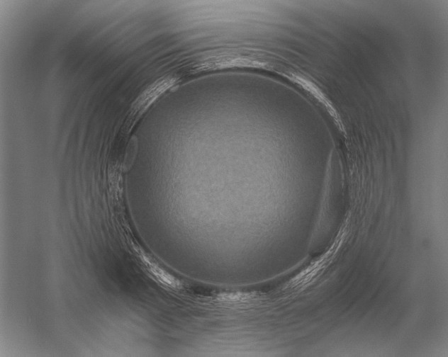 X0000056380793200509091714