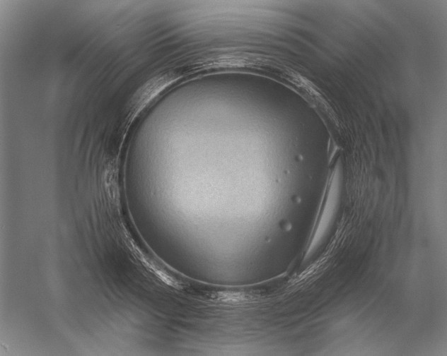 X0000056380794200509091714