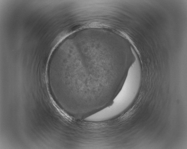 X0000056380795200509091714