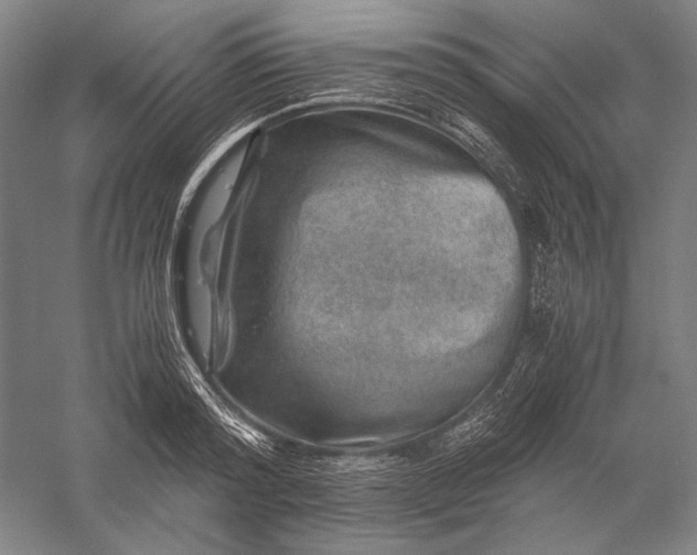 X0000056380796200509091714