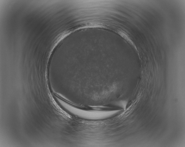 X0000056380797200509091714