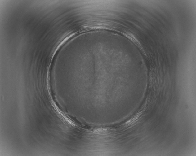 X0000056380798200509091714