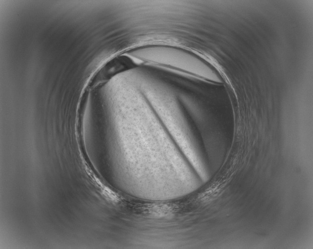 X0000056380799200509091714