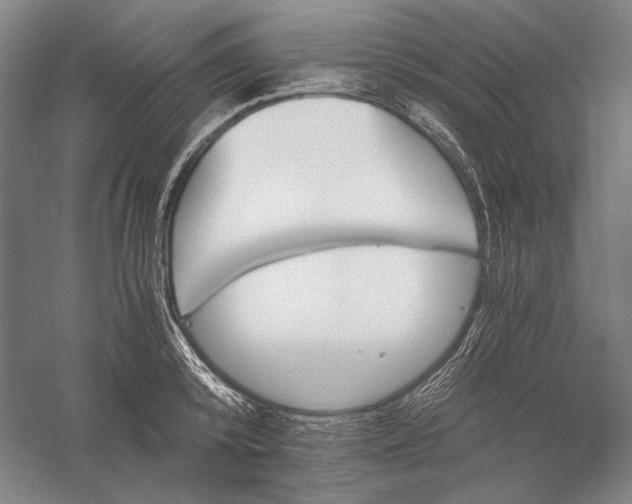 X0000056380800200509091713