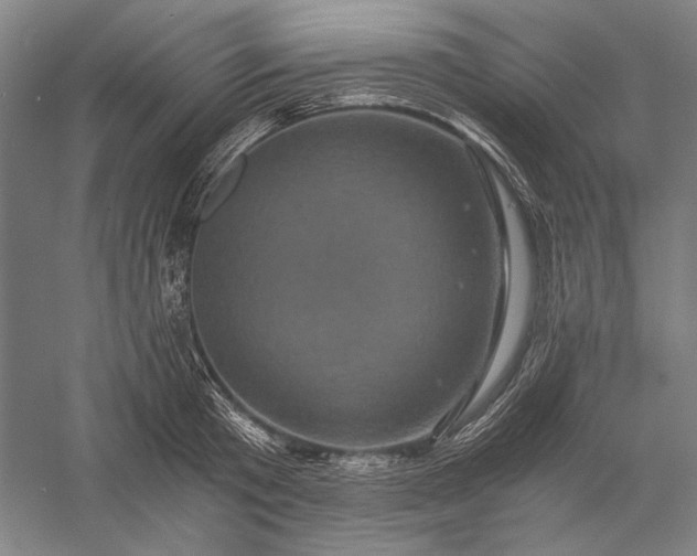 X0000056380801200509091713