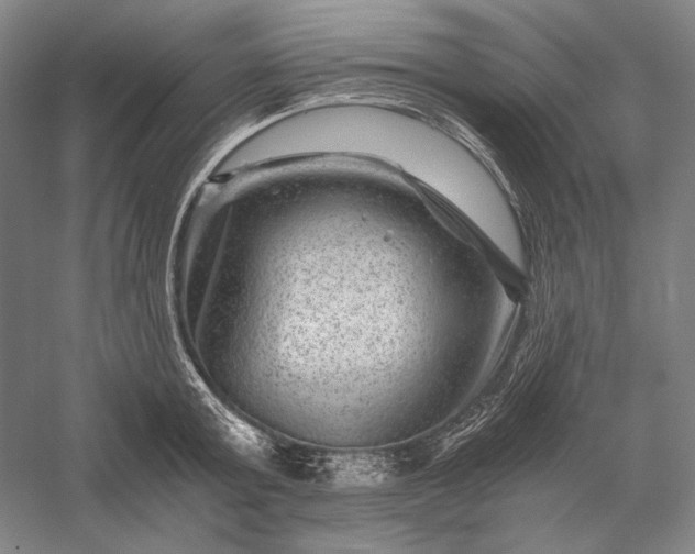 X0000056380803200509091713